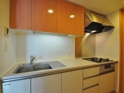 Lieto Court Arc Tower - Interior - ["Kitchen", "Kitchen Sink", "Kitchen Appliance"]