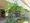 Suncreadle Ukima Funato - Other - ["Leaf", "Plants", "Garden"] thumbnail