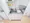 Mynavi STAY Palace Kachidoki - Interior - [] thumbnail