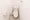 Hmlet Kinshicho II - Interior - ["Toilet seat", "Toilet", "Plumbing fixture"] thumbnail