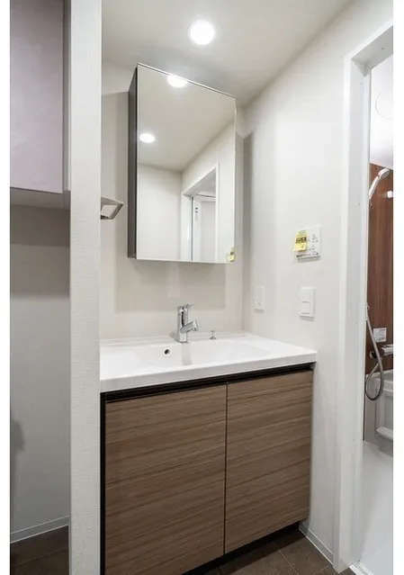 Livio Maison Asakusa Kaminarimon - Interior - ["Bathroom Sink", "Flooring", "Bathroom cabinet"]