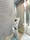 Milia Residence Nihonbashi Ningyocho - Other - ["Wood", "Fixture", "Rectangle"] thumbnail