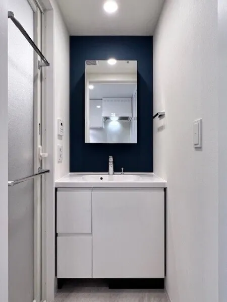 Brillia Ist Oimachi - Interior - ["Bathroom cabinet", "Flooring", "Plumbing fixture"]