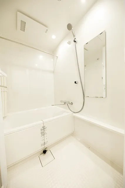 Lions Forsia Kiyosumi Shirakawa - Interior - ["Plumbing fixture", "Shower head", "Shower"]