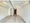 Season Flats Omorinishi - Interior - ["Flooring", "Floor", "Wood"] thumbnail