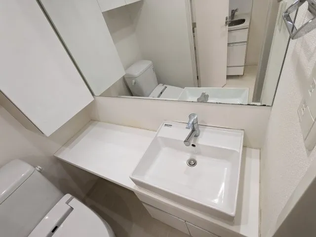Premium Cube Osaki - Interior - ["Plumbing fixture", "Flooring", "Bathroom Sink"]