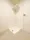 Brillia Ist Asakusa - Interior - ["Wood", "Flooring", "Floor"] thumbnail