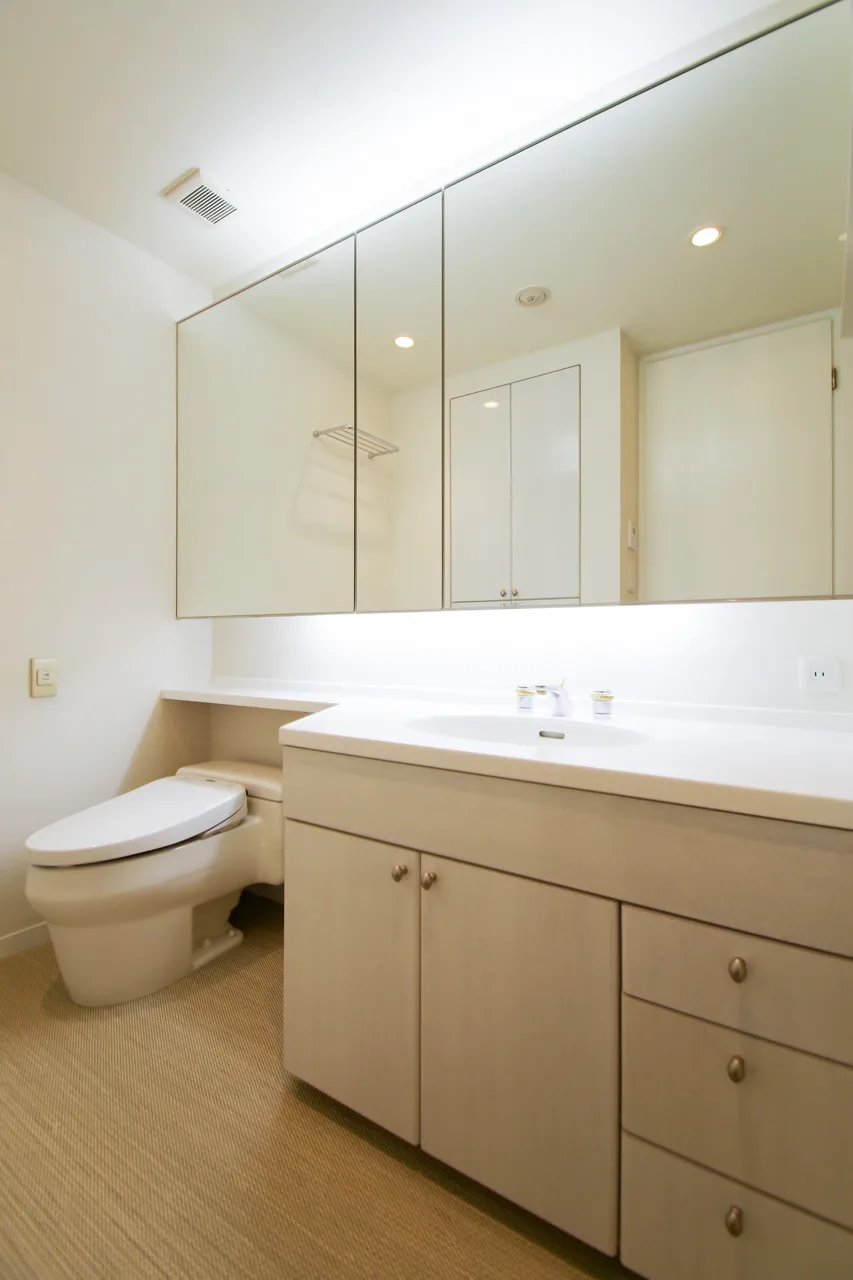 La Tour Shibakoen - Interior - ["Mirror", "Bathroom cabinet", "Cabinetry"]
