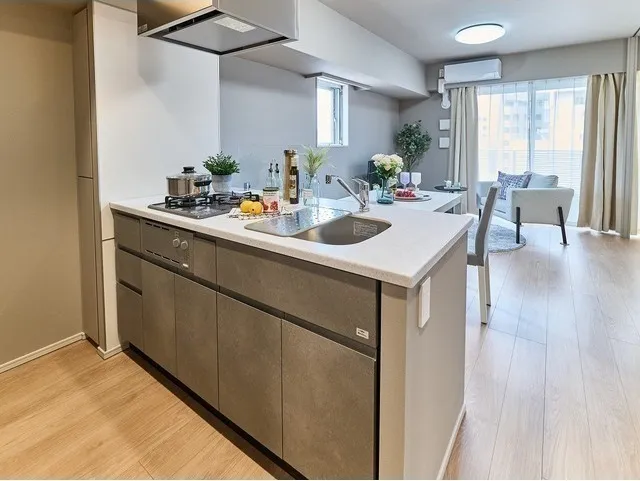 Baus Flats Kuramae - Interior - ["Kitchen", "Countertop", "Plumbing fixture"]
