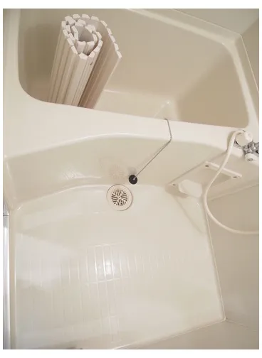 Maison Premier 136 - Interior - ["Plumbing", "Bathtub", "Plumbing fixture"]