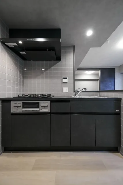 Alibio Gakugei Daigaku - Interior - ["Cabinetry", "Countertop", "Tap"]