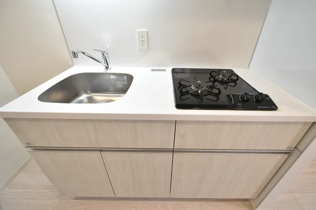 Grand Paseo Kiyosumi Shirakawa II - Interior - ["Flooring", "Kitchen Sink", "Plumbing fixture"]