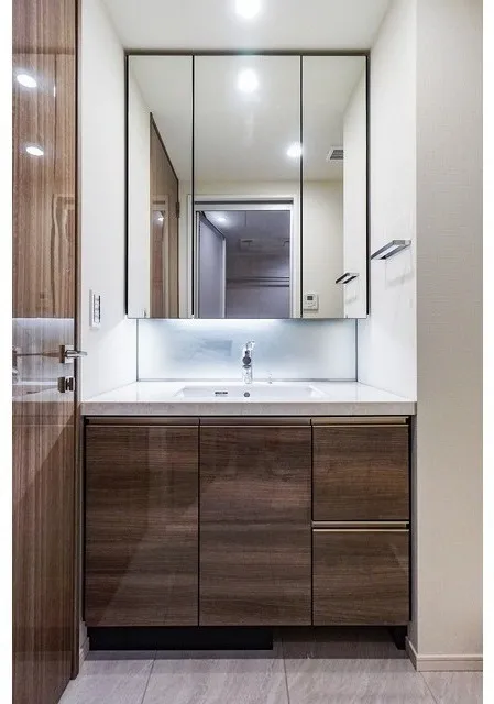 Belle Vue Chiyoda Iidabashi - Interior - ["Mirror", "Cabinetry", "Bathroom cabinet"]