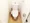 Comforia Honkomagome - Interior - ["Plumbing fixture", "Toilet seat", "Toilet"] thumbnail