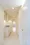 Residia Takanawa Katsurazaka - Interior - ["Flooring", "Floor", "Ceiling"] thumbnail