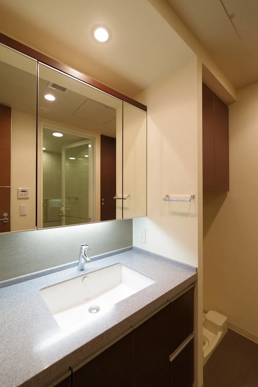 Central Park Tower La Tour Shinjuku - Interior - ["Bathroom Sink", "Interior design", "Plumbing fixture"]