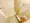 Makes Design Shiba Park - Interior - [] thumbnail