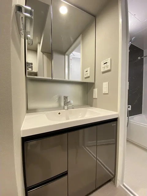 J. Rivere Ueno Iriya Place - Interior - ["Bathroom cabinet", "Bathroom Sink", "Mirror"]