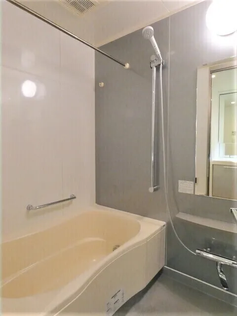 Orchid Residence Kagurazaka - Interior - ["Bathtub", "Plumbing fixture", "Shower head"]