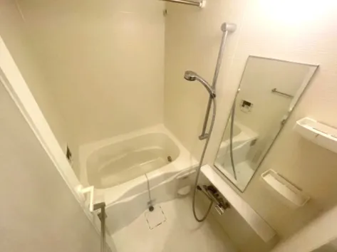 Grand Paseo Kiyosumi Shirakawa II - Interior - ["Plumbing fixture", "Bathroom", "Flooring"]
