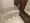 Doue Ryogoku III - Interior - ["Plumbing fixture", "Flooring", "Floor"] thumbnail