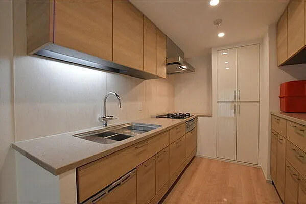 Park Court Yoyogi Hatsudai - Interior - ["Countertop", "Kitchen", "Kitchen Sink"]