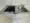 Mare Saginomiya - Interior - ["Major appliance", "Kitchen Sink", "Kitchen"] thumbnail