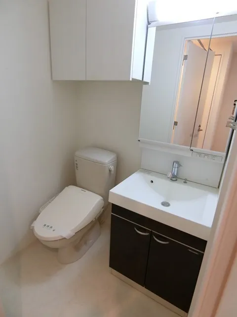 TLR Residence Otorii - Interior - ["Bathroom Sink", "Plumbing fixture", "Sink"]