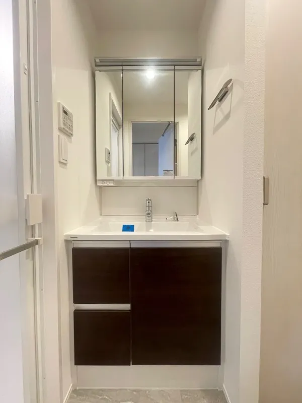 Residia Ueno Ikenohata - Interior - ["Flooring", "Bathroom cabinet", "Bathroom Sink"]