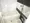 Arden Shiba Park - Interior - ["Plumbing fixture", "Bathtub", "Flooring"] thumbnail