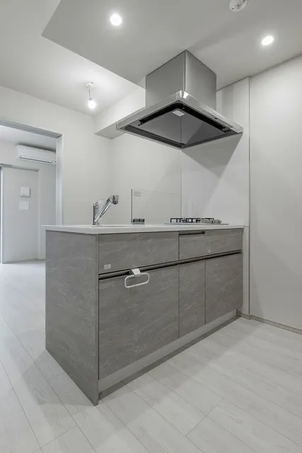 Grand Park Sendagaya Residence - Interior - ["Kitchen", "Flooring", "Countertop"]