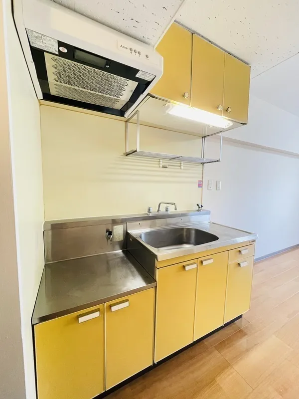 Token Higashi Gotanda Apartment - Interior - ["Kitchen Sink", "Kitchen", "Flooring"]