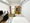 Mynavi STAY Nihonbashi Hamacho - Interior - [] thumbnail