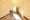 Plaille Hamamatsucho - Interior - ["Flooring", "Floor", "Wood"] thumbnail