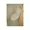 Comforia Nishiazabu - Interior - ["Toilet", "Property", "Toilet seat"] thumbnail