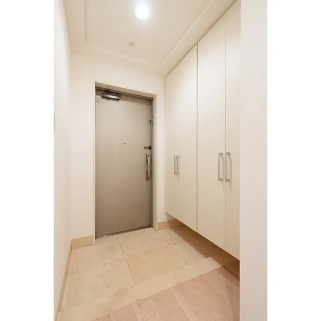 HF Shirokane Takanawa Residence - Interior - ["Door", "Fixture", "Wood"]