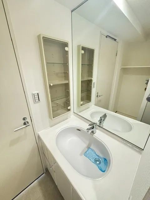 Residia Tsukishima II - Interior - ["Plumbing fixture", "Flooring", "Bathroom Sink"]