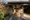 AIFLAT Shinagawa Togoshi Parkside - Exterior - [] thumbnail