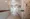 Carlo Villa Nishi-Sugamo - Exterior - ["Flooring", "Floor", "Ceiling"] thumbnail