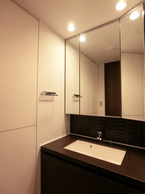 The Park Habio Tsukishima Front - Interior - ["Lighting", "Plumbing fixture", "Bathroom sink"]