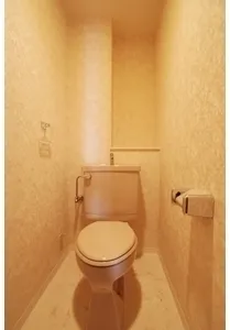 The Tabata House - Interior - ["Toilet seat", "Toilet", "Plumbing fixture"]