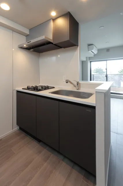 Terra Silk Forest - Interior - ["Kitchen", "Countertop", "Kitchen Appliance"]