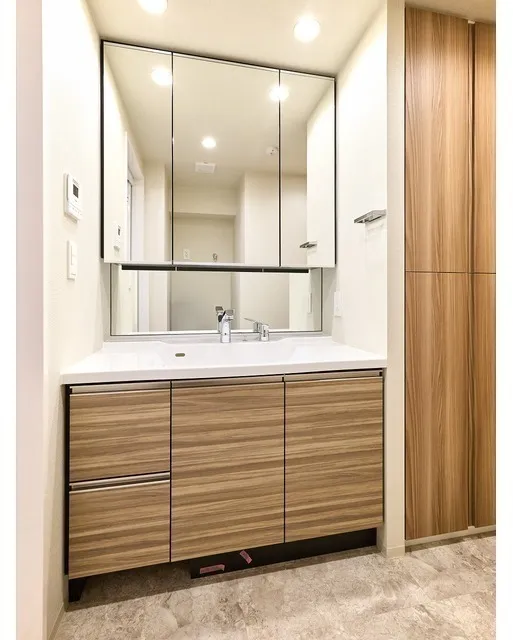 Comforia Liv Nishioshima SOUTH - Interior - ["Flooring", "Wood", "Bathroom cabinet"]