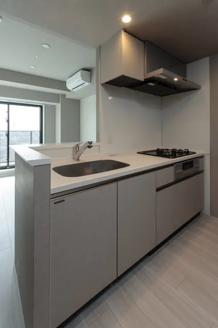 Terra Silk Forest - Interior - ["Floor", "Kitchen", "Apartment"]