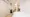 Hmlet Shibuya Ohashi - Interior - [] thumbnail