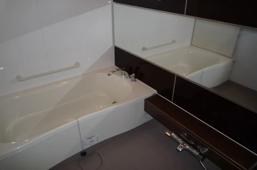 Residia Nishi Azabu - Interior - ["Brown", "Bathtub", "Tap"]