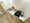 Mynavi STAY Global Harajuku Maison - Interior - [] thumbnail