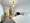 Mynavi STAY Palace Green Hatagaya - Interior - [] thumbnail