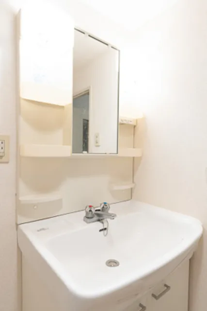 Dwell Riverside Ojima - Interior - ["Plumbing fixture", "Bathroom Sink", "Flooring"]
