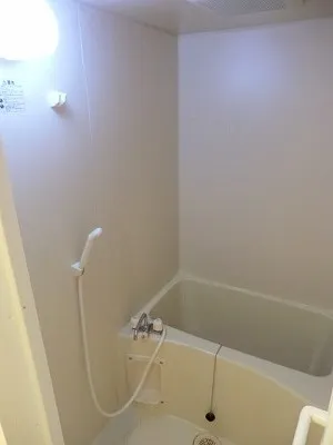 Belaire Meguro - Interior - ["Bathtub", "Property", "Plumbing fixture"]